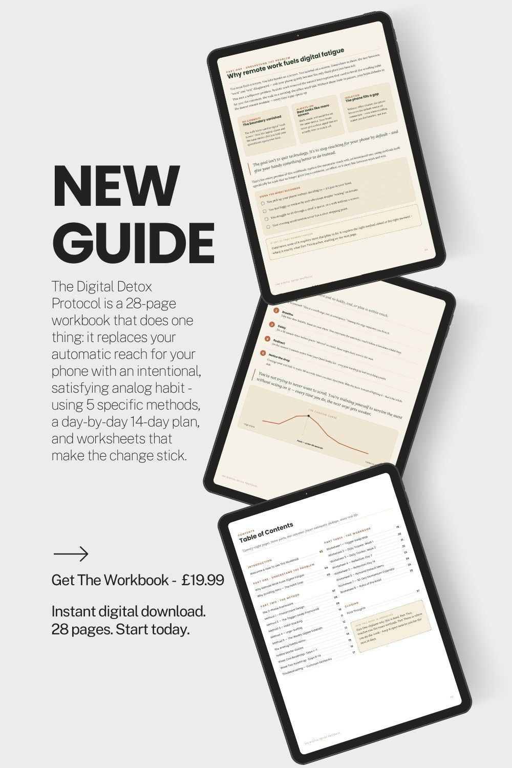 The Digital Detox Protocol - 14 Day Workbook for Remote Workers