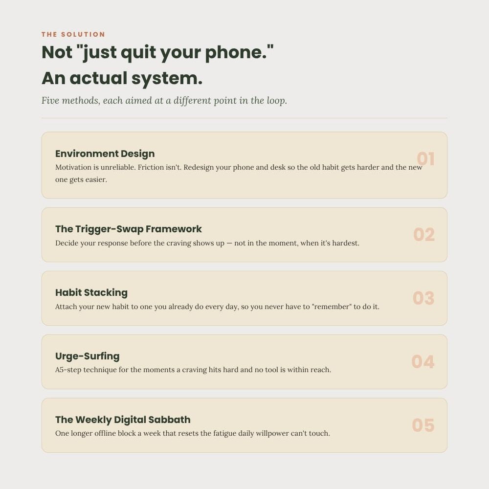 The Digital Detox Protocol - 14 Day Workbook for Remote Workers